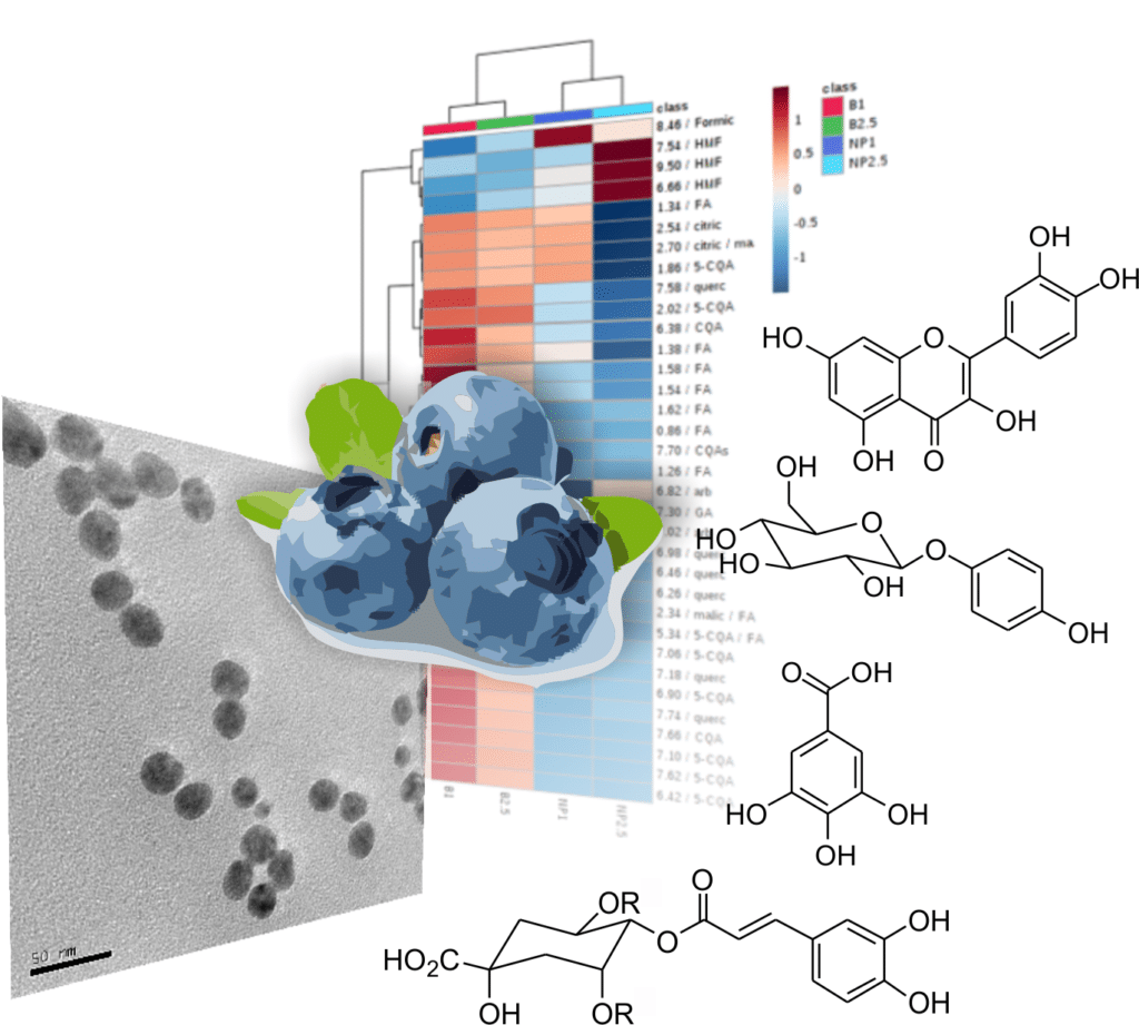 Ana publishes in ACS Sustainable Chemistry & Engineering ! Congratulations ! Applying NMR Metabolomics on blueberries ! What’s next?